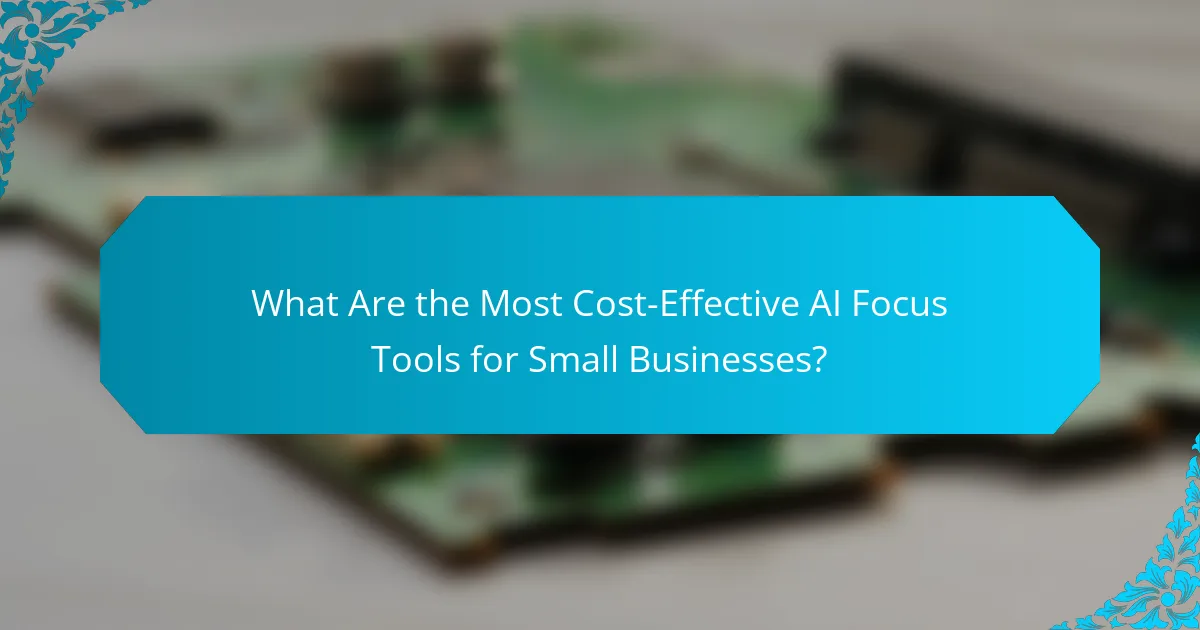 What Are the Most Cost-Effective AI Focus Tools for Small Businesses?